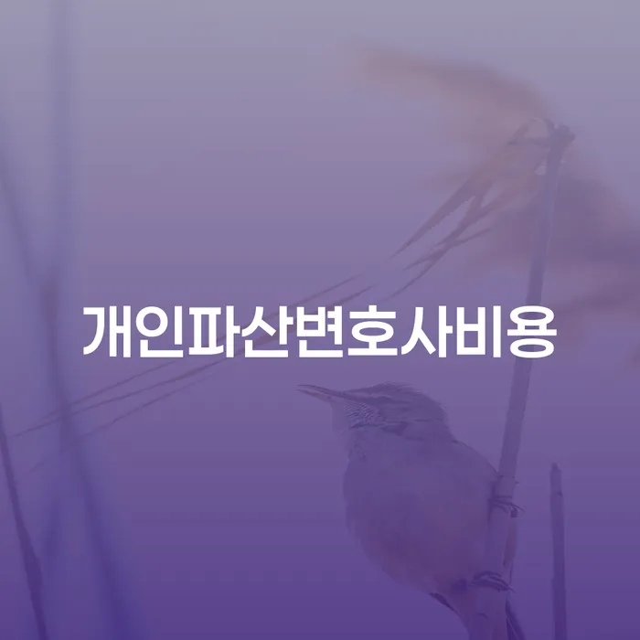 개인회생재산 개인회생 잘 하는 사무소
