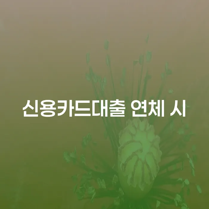 개인회생면책신청 개인회생으로 해결 위험감소