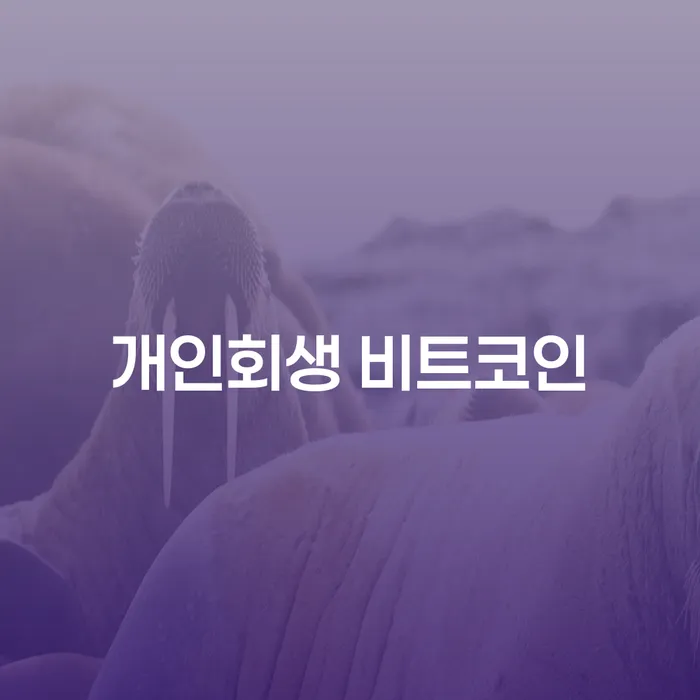 창원시 개인회생과정 채무 효과적인 해결방법 선택을 어떻게..
