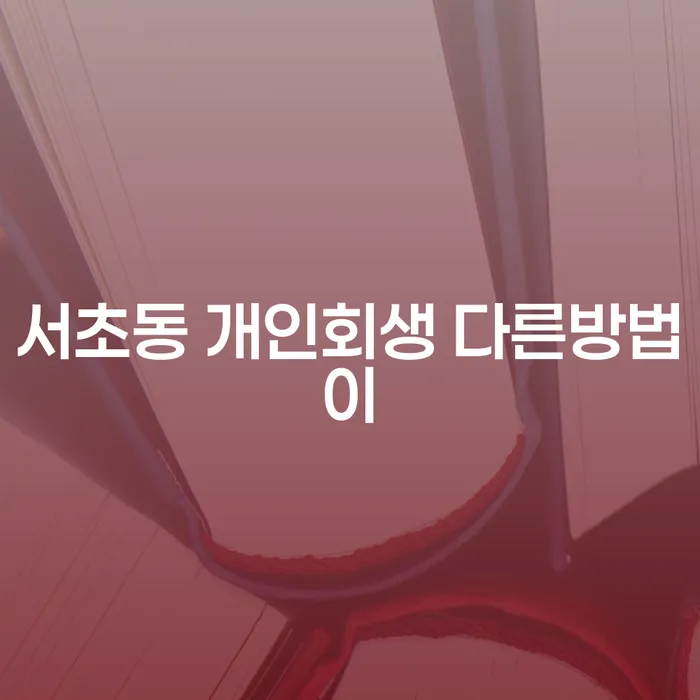 서초동 개인회생 다른방법이