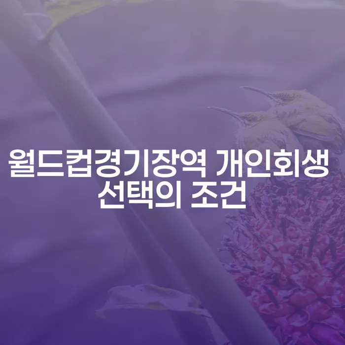 월드컵경기장역 개인회생 선택의 조건
