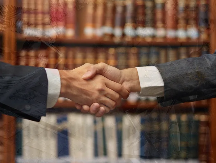 채무불이행 해결책