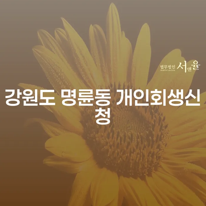 강원도 명륜동 개인회생신청을 통해 경제적 재기를 시작하세요!