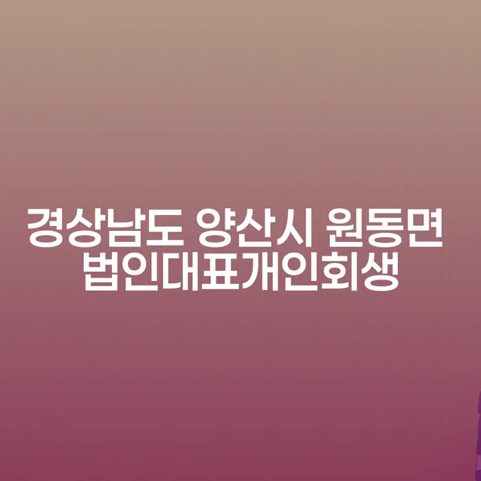 경상남도 양산시 원동면에서 법인대표 개인회생을 고민하는 분들을 위한 가이드